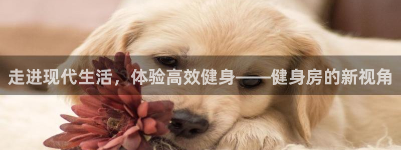 意昂2官网